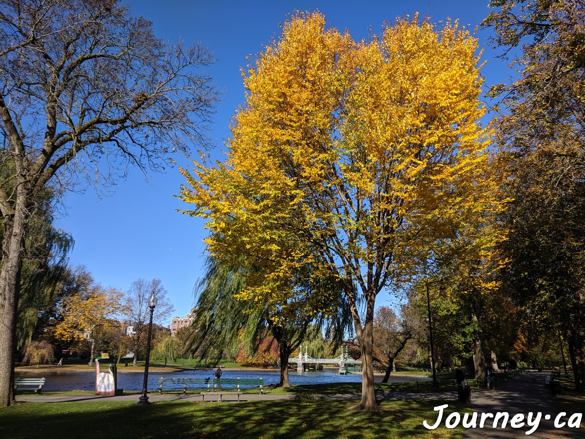Boston Public Garden