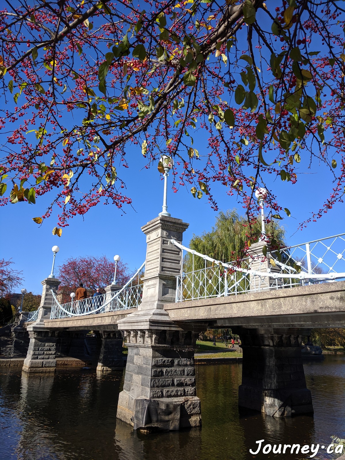 Lagoon bridge in the Boston Public Garden