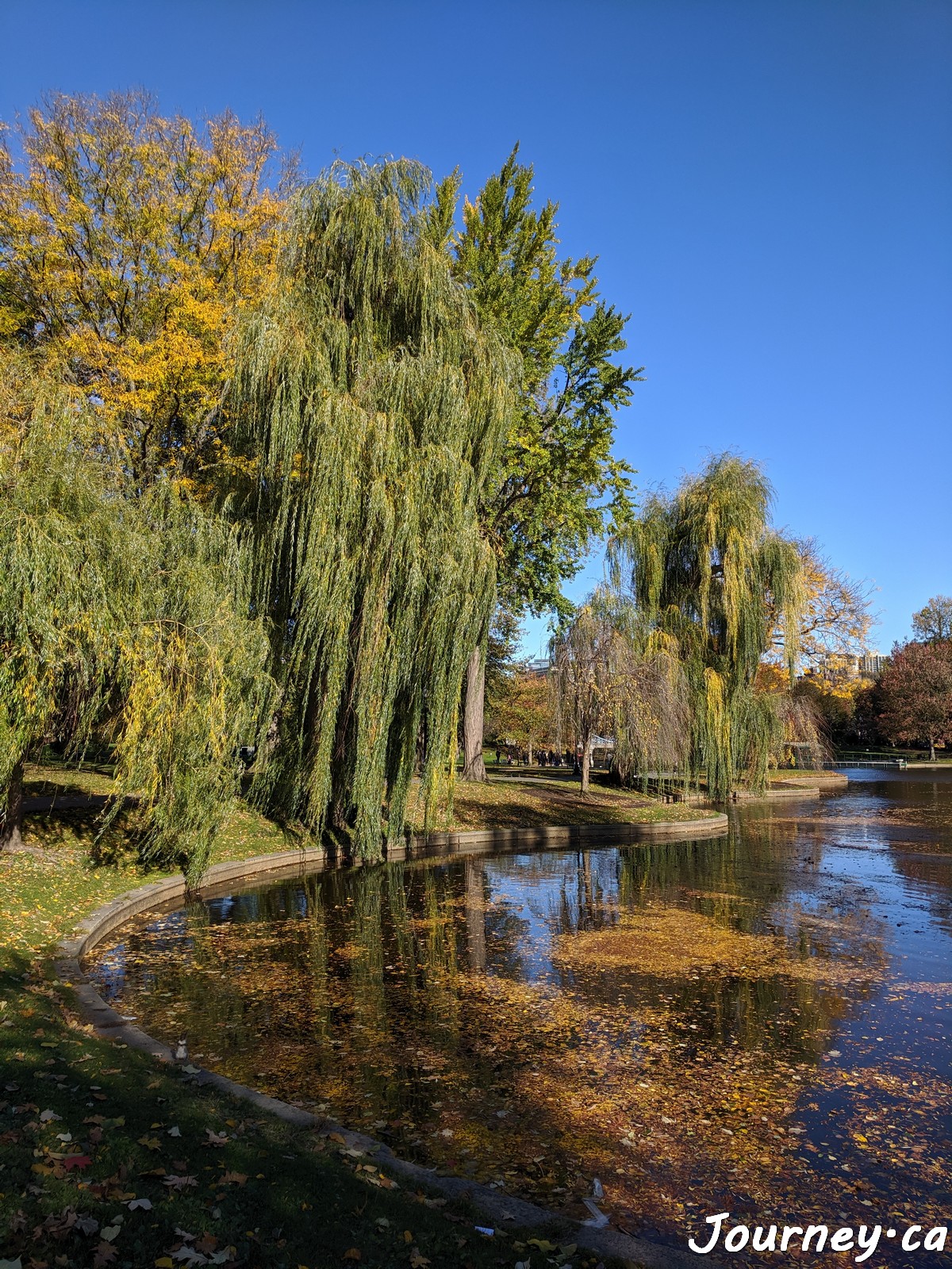 Boston Public Garden