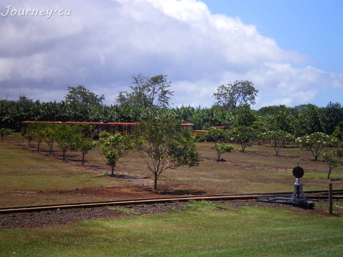 Pineapple Express Train Tour