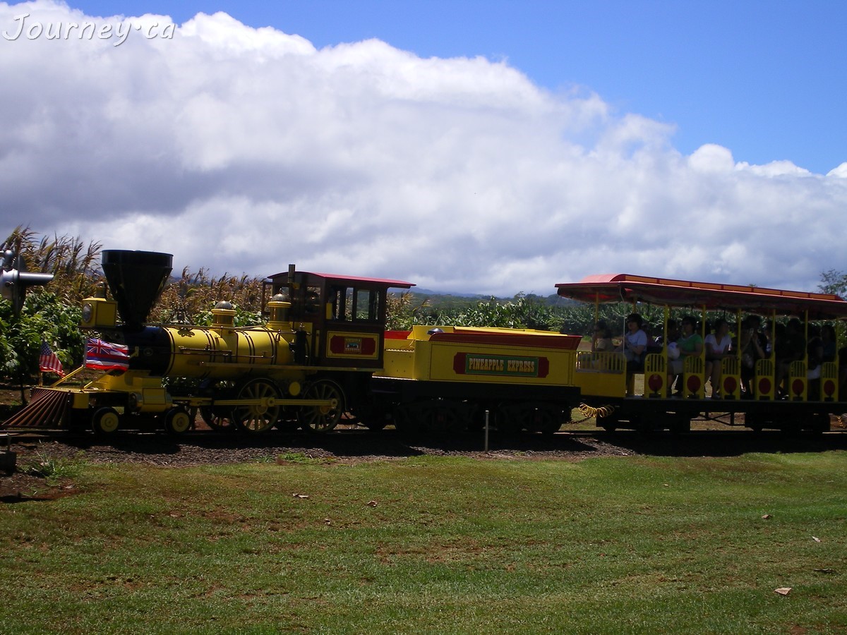 Pineapple Express Train Tour