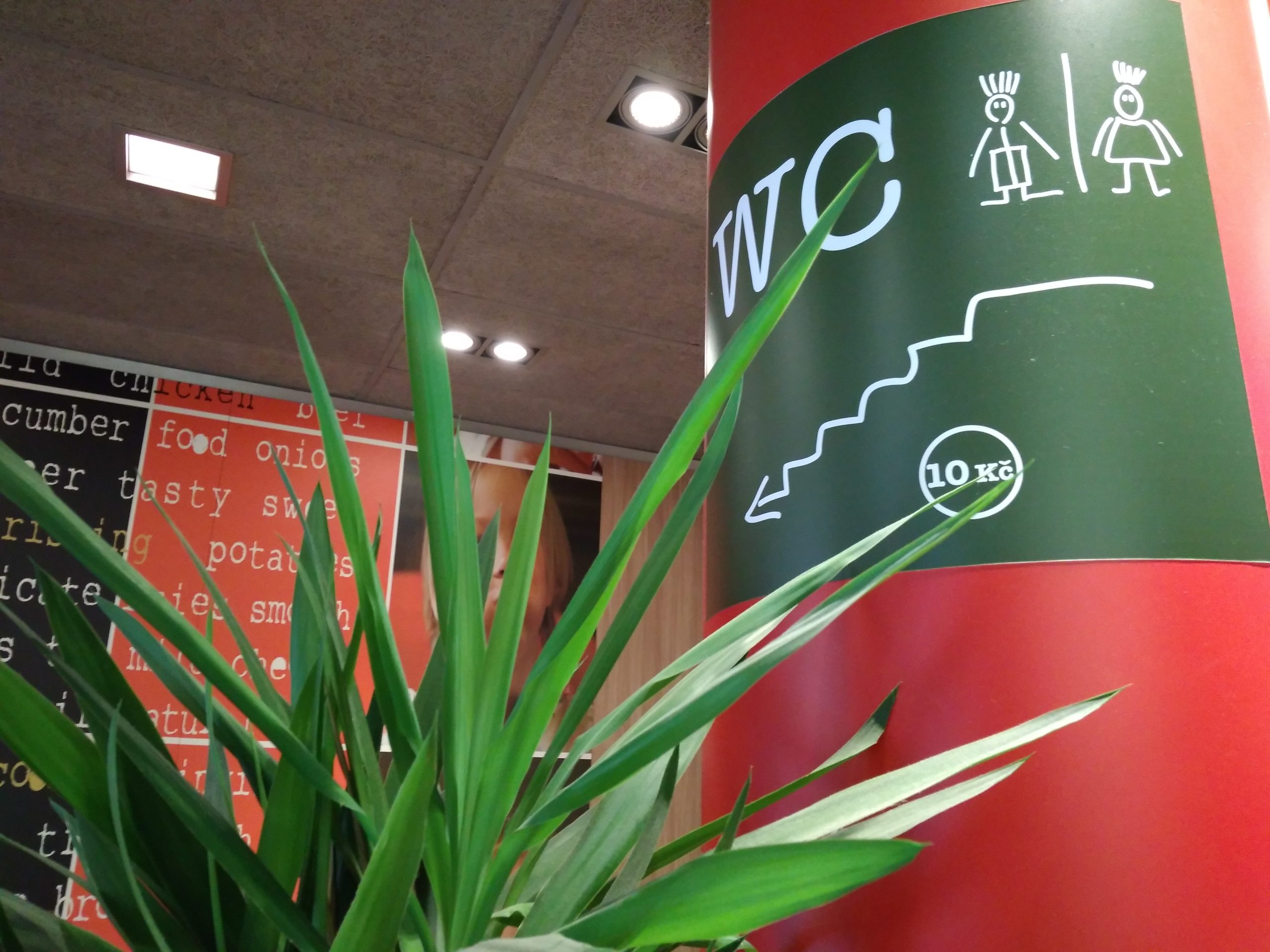 捷克麦当劳厕所收费10克朗