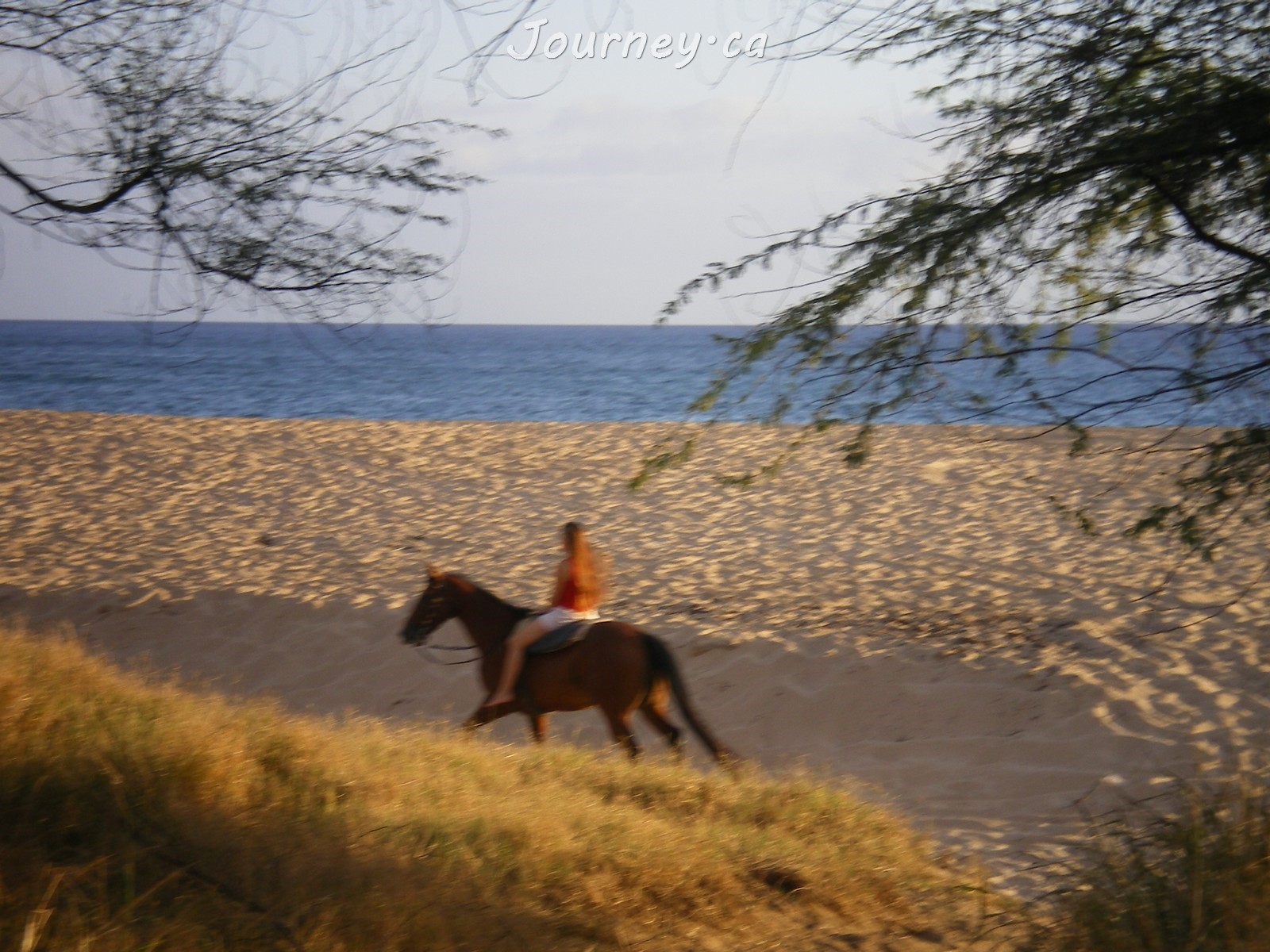 Makaha Beach