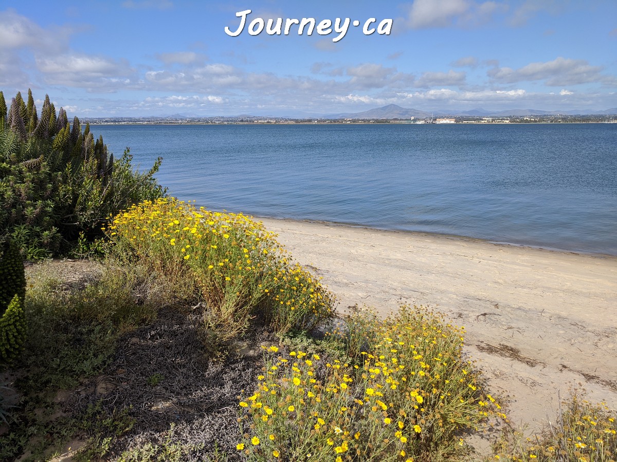 Grand Caribe Shoreline Park